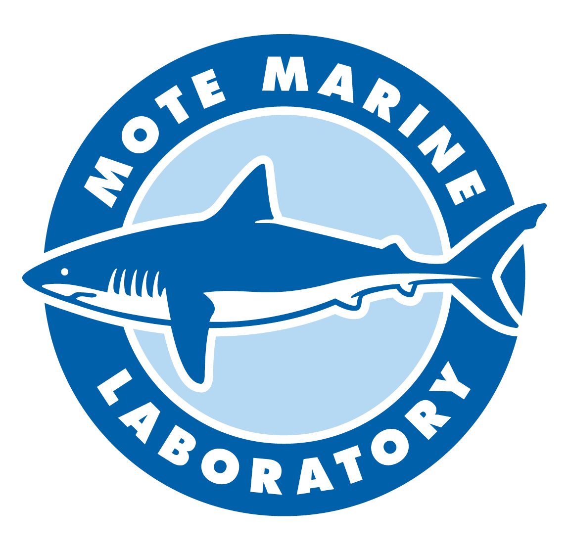 mote marine logo